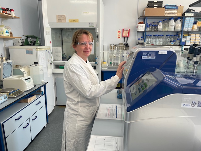Monitoring Norovirus in Oysters Lab