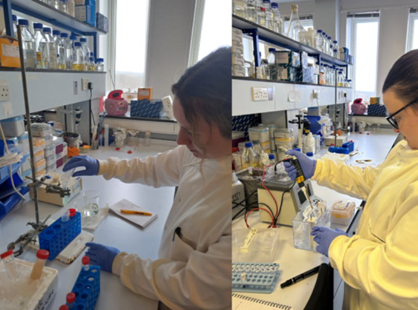 scientists doing experiments